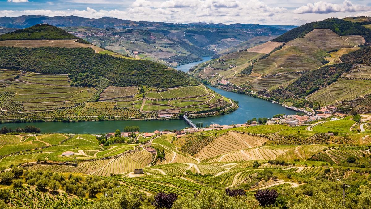 Douro-völgy