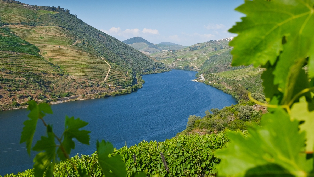 Douro-völgy