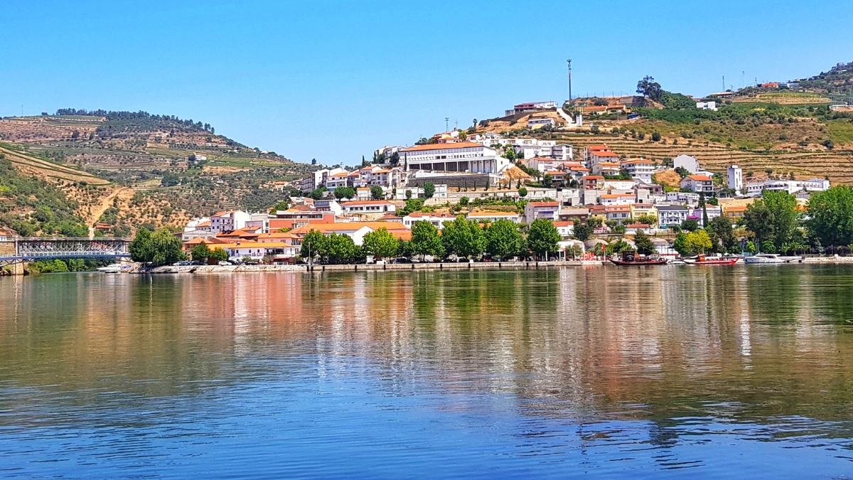 Pinhão 