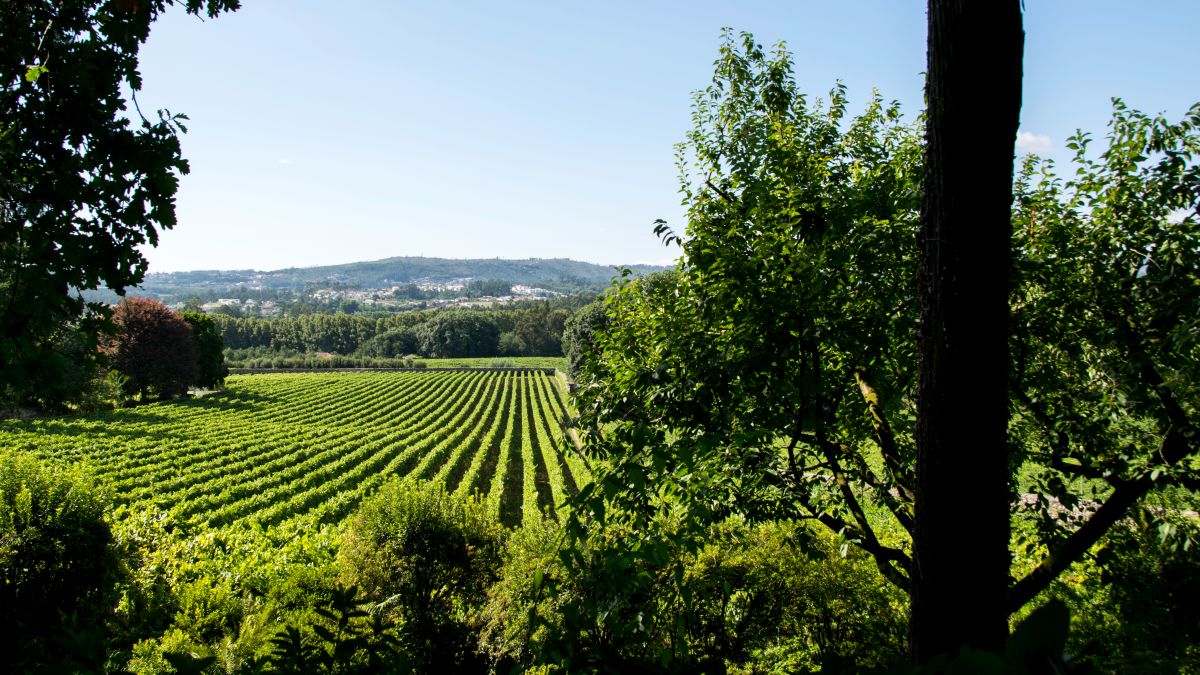 Quinta da Aveleda