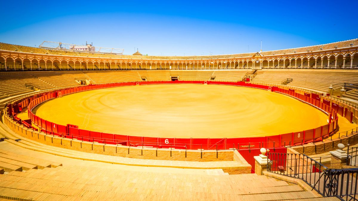 Bikaviadal aréna