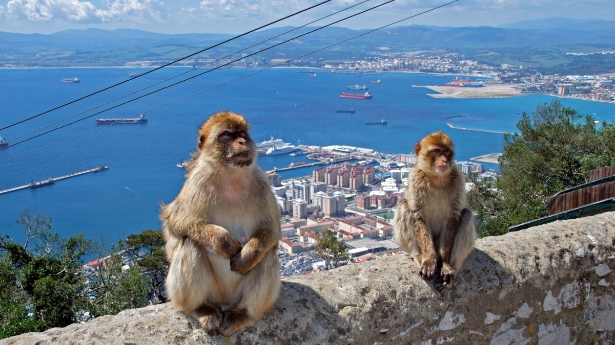 Gibraltár