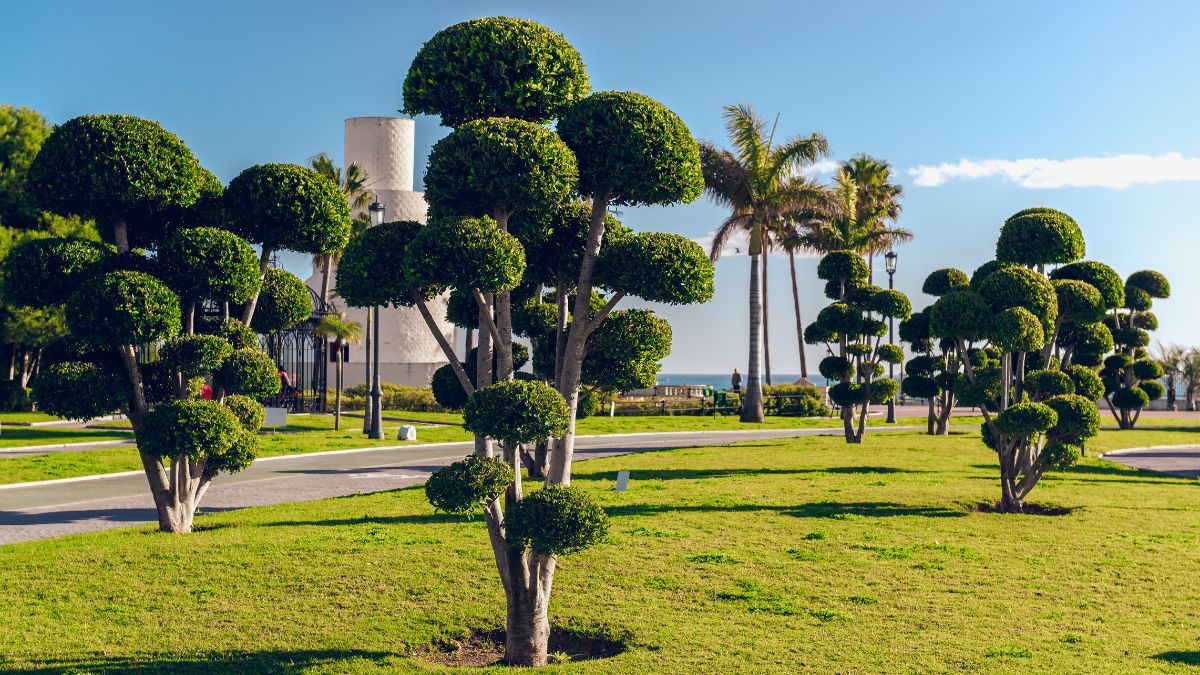 Torremolinos
