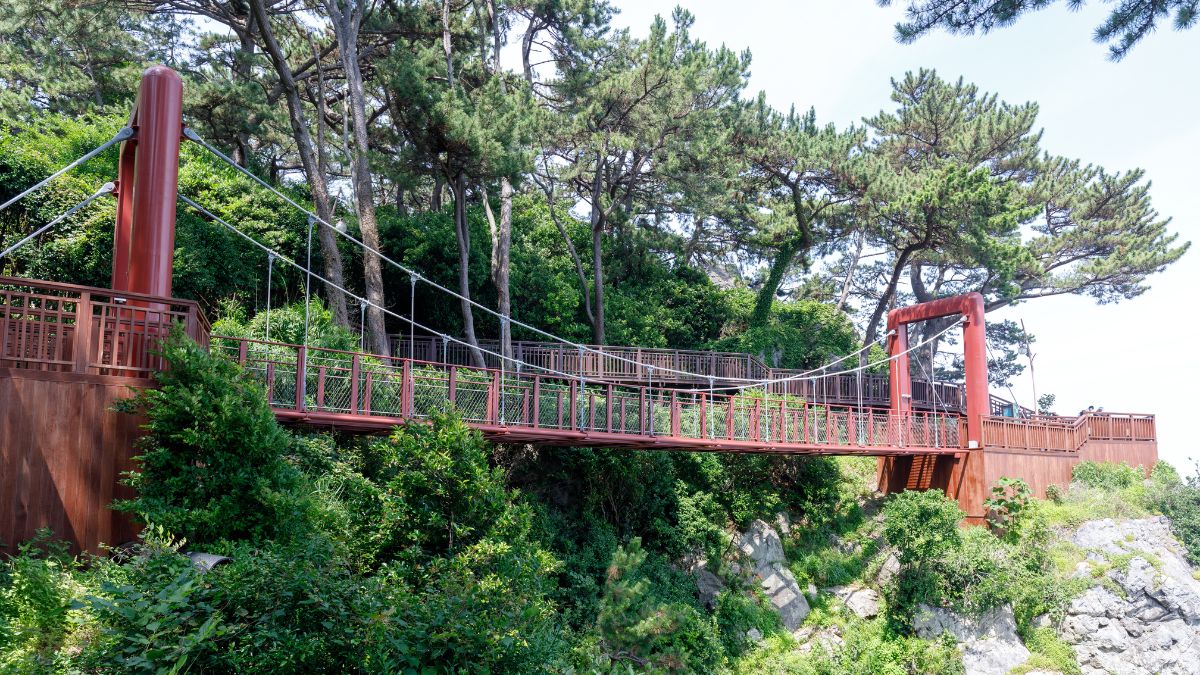 Dongbaek-sziget