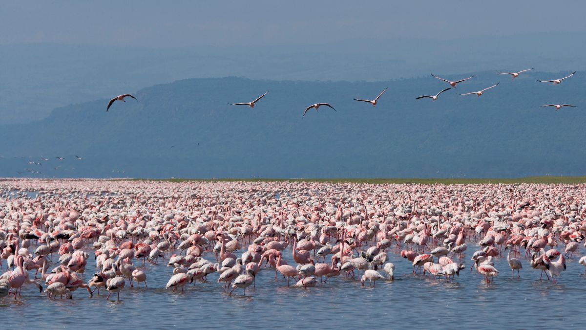 Nakuru