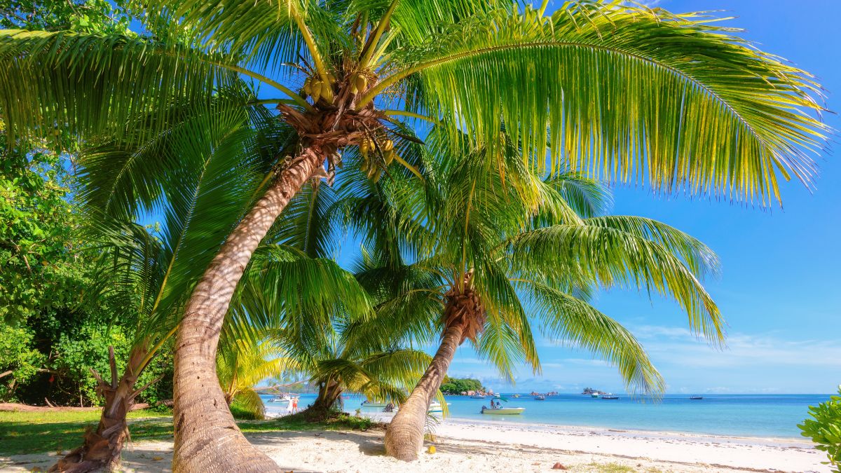 Praslin