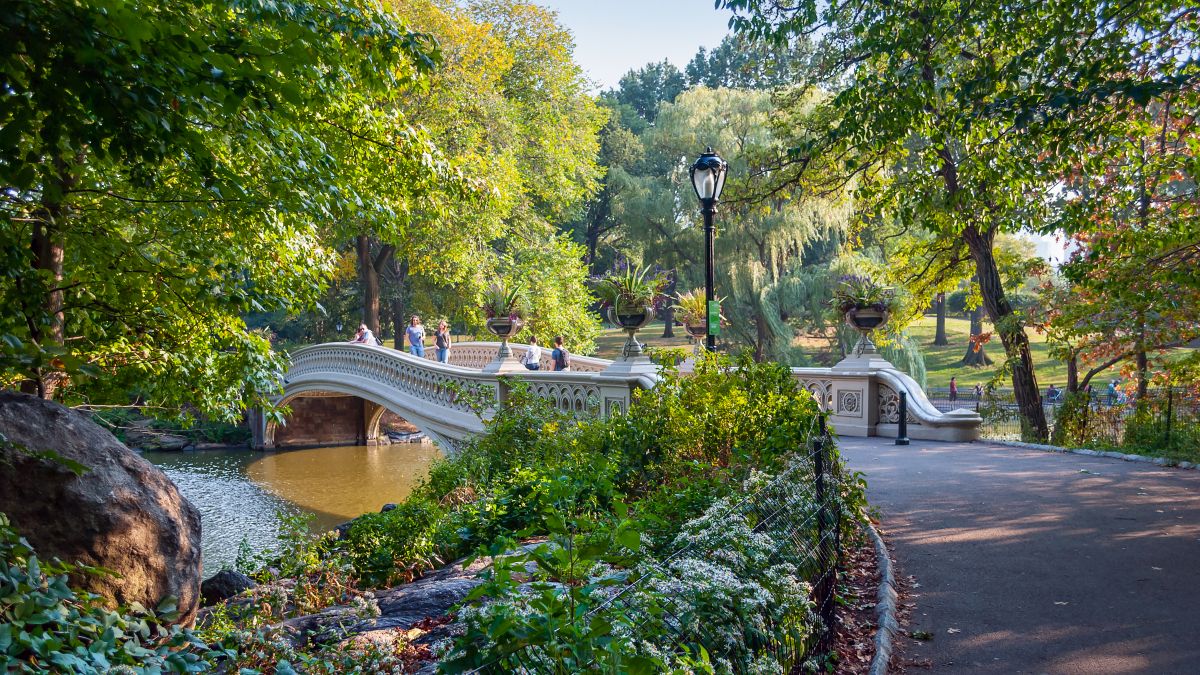 New York - Central Park