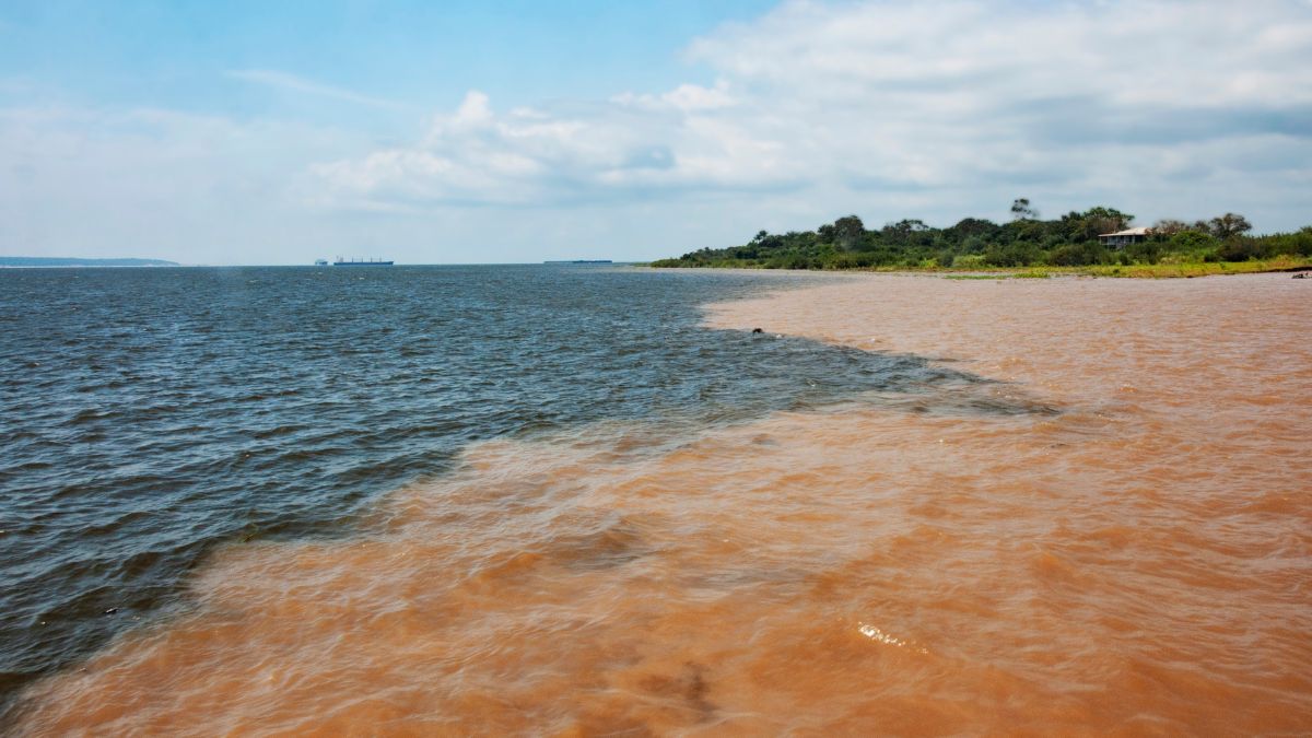 Rio Negro – Rio Solimões