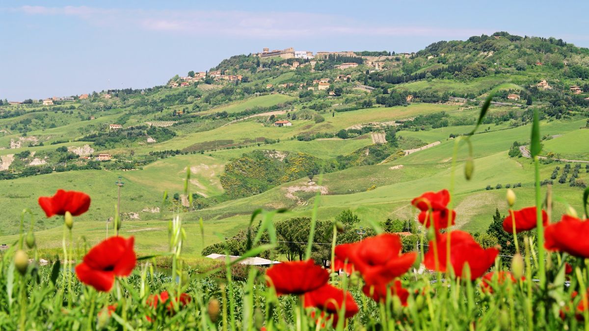 Volterra