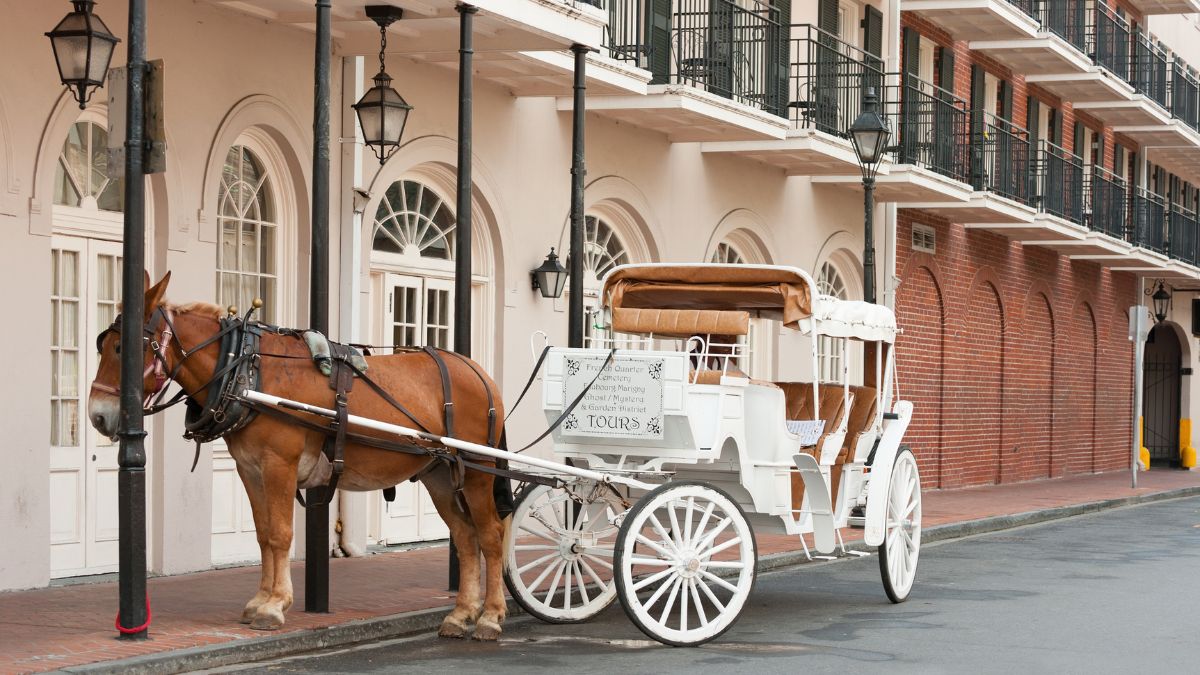 New Orleans