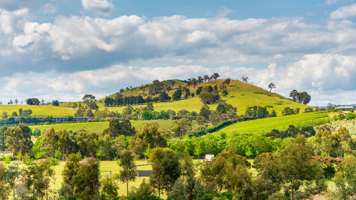 Yarra-völgy
