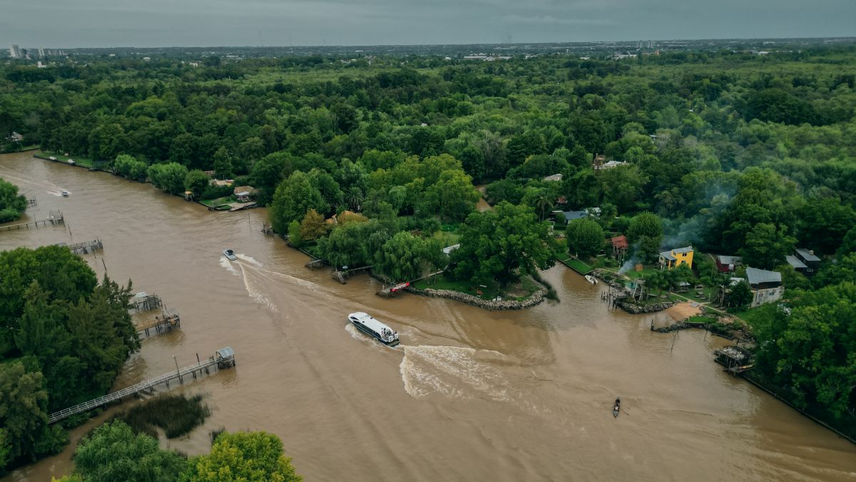 Tigre-delta