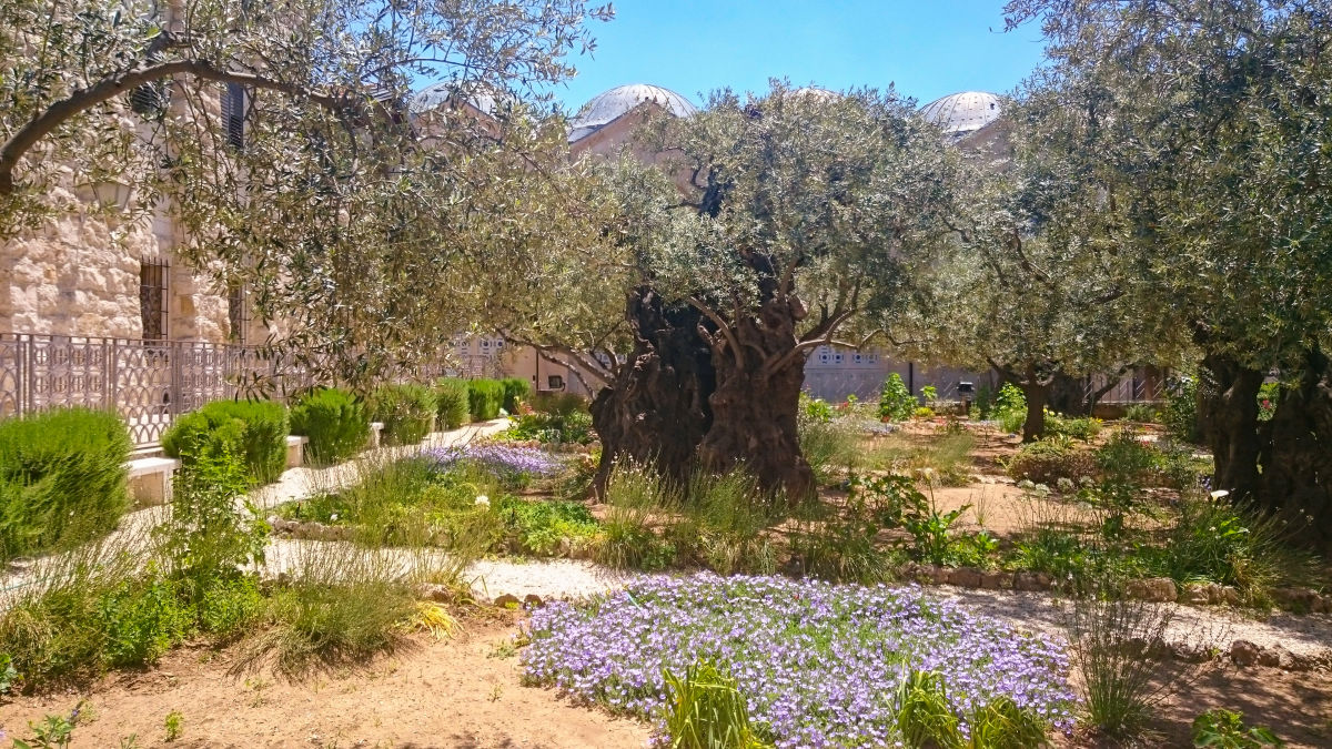 Gethsemane kert