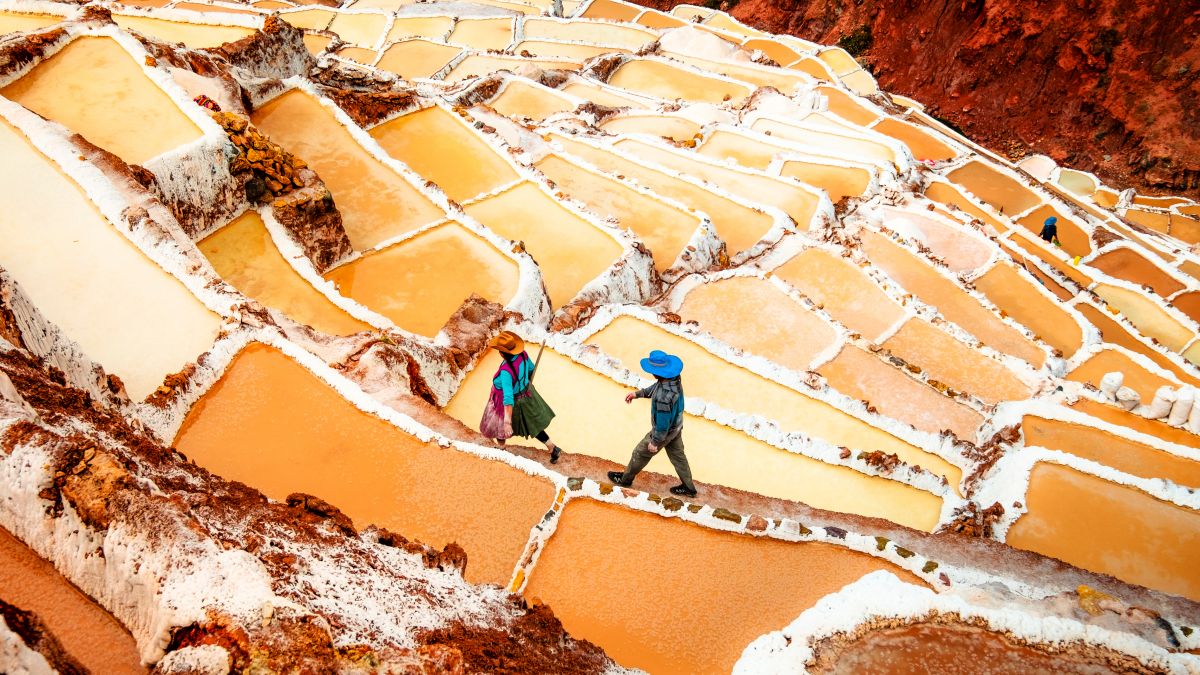 Maras 