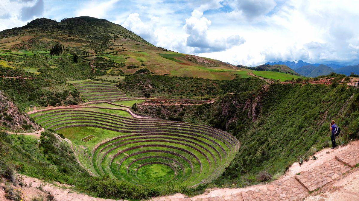 Moray 
