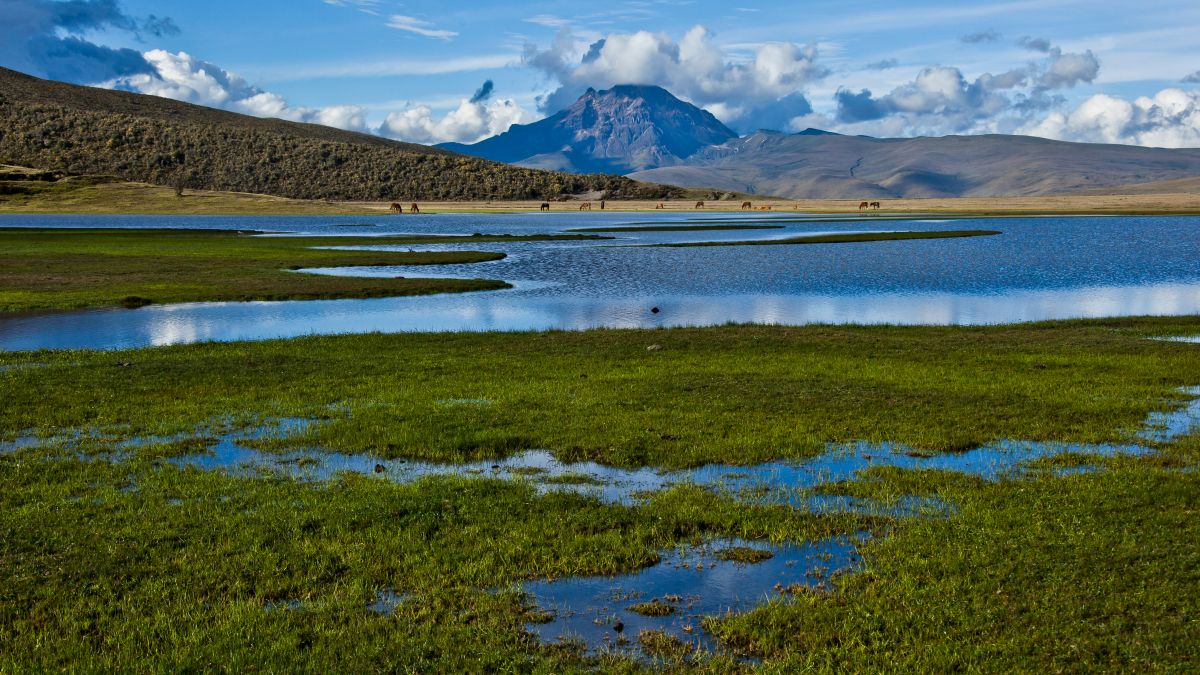 Cotopaxi Nemzeti Park