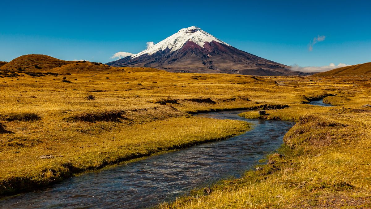 Cotopaxi Nemzeti Park