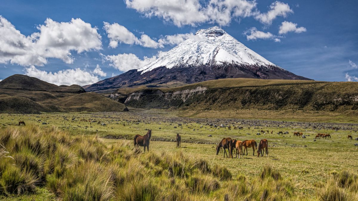 Cotopaxi Nemzeti Park