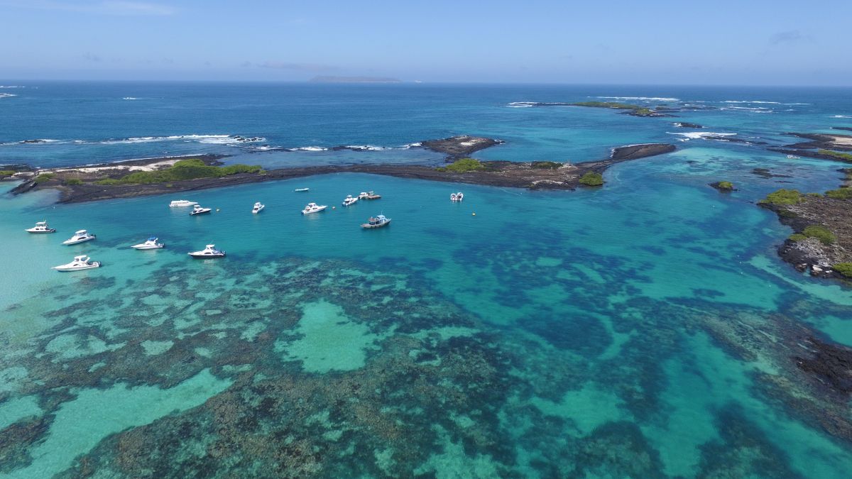 Galápagos-szigetek, 