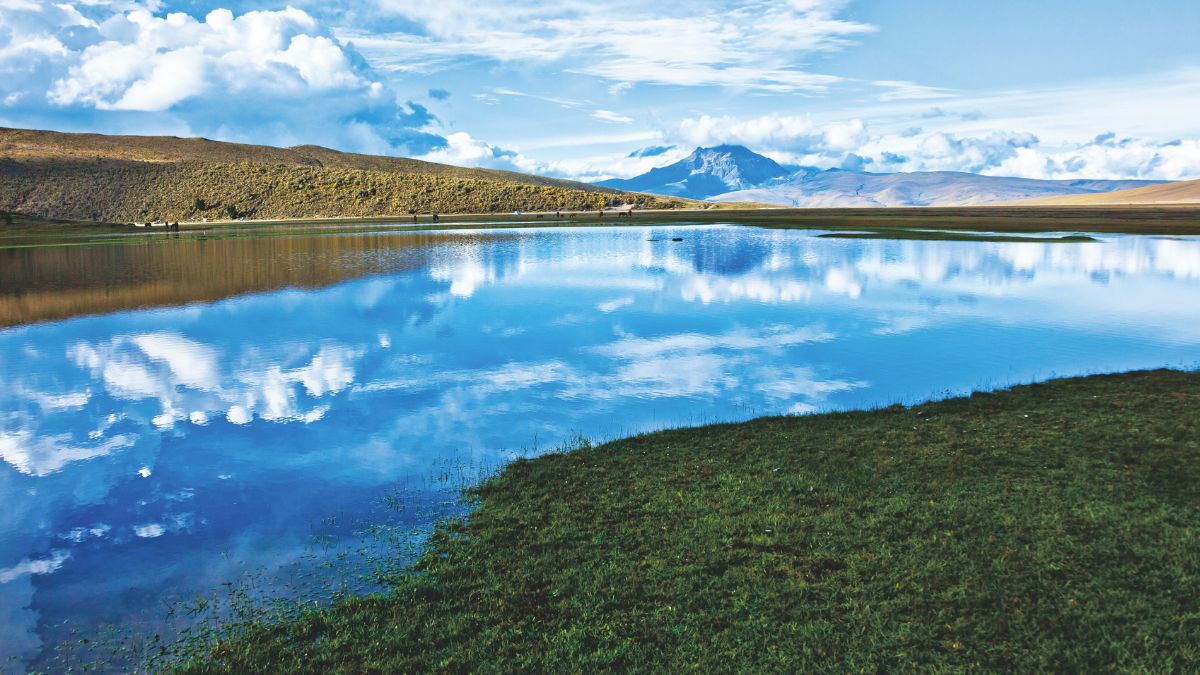 Cotopaxi Nemzeti Park