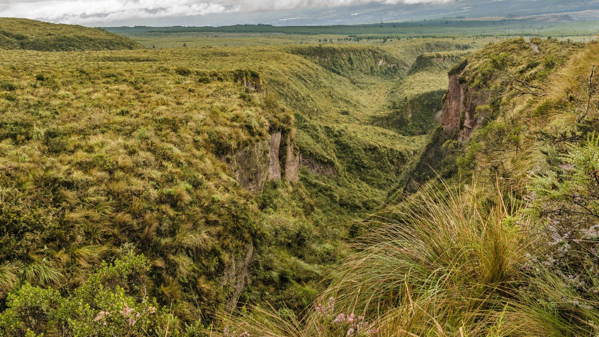 Cotopaxi Nemzeti Park
