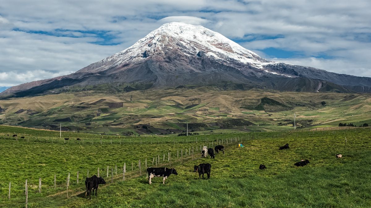 Chimborazo