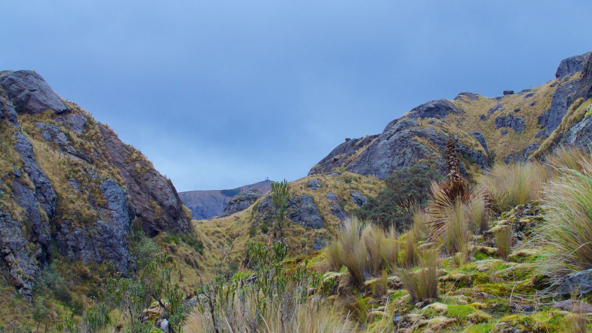 Cajas Nemzeti Park