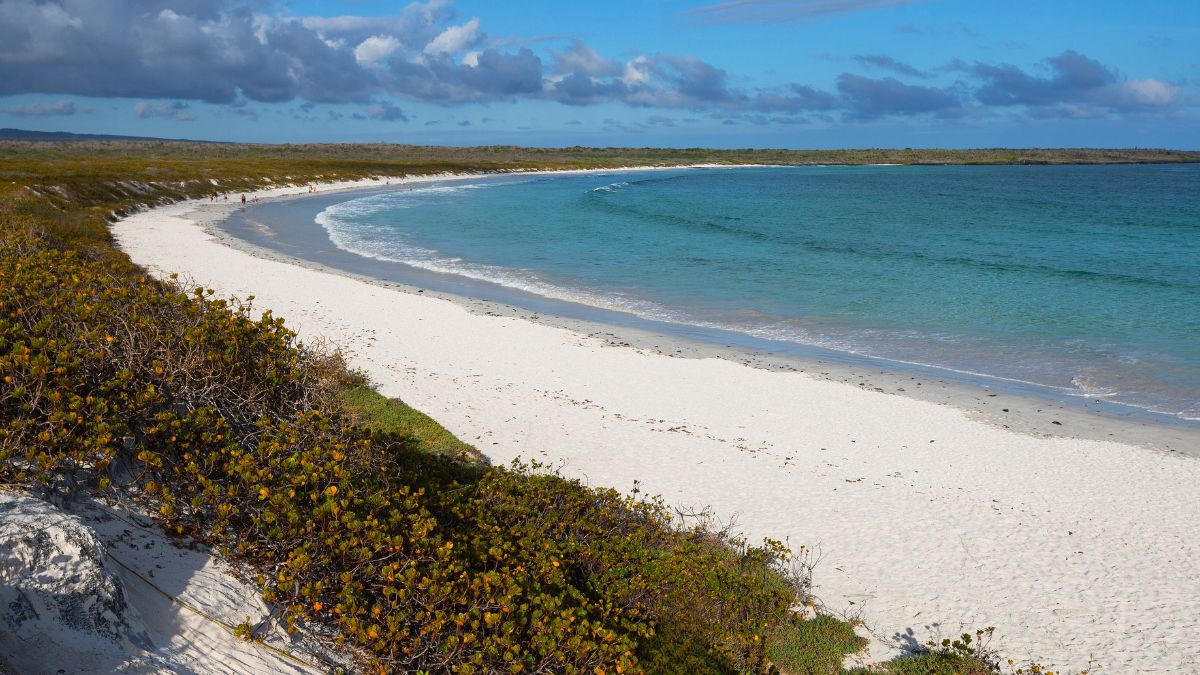 Galápagos, Tortuga Bay