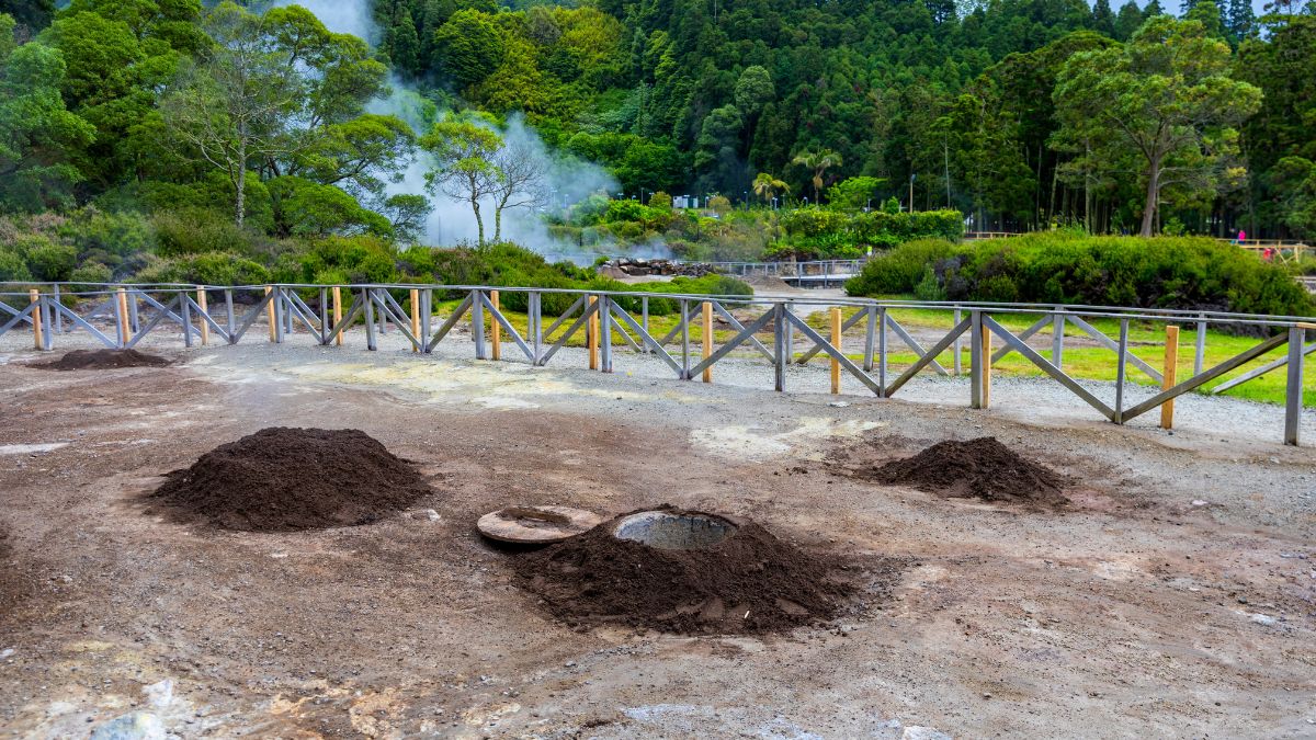 Furnas