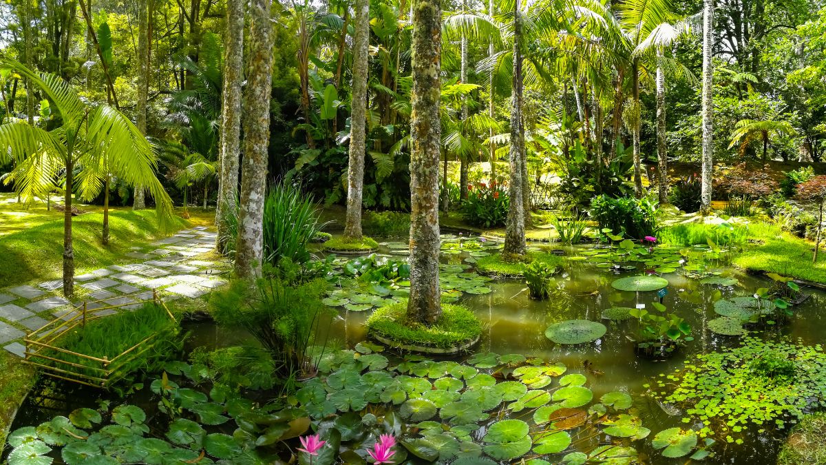 Terra Nostra park