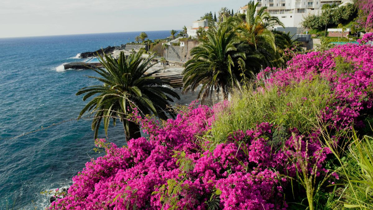 Madeira