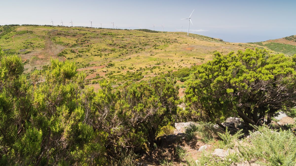 Paúl da Serra fennsík