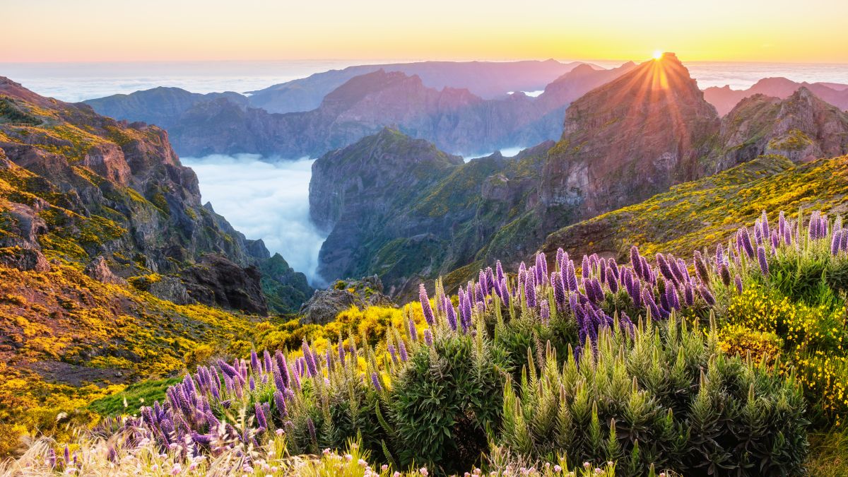 Pico do Arieiro