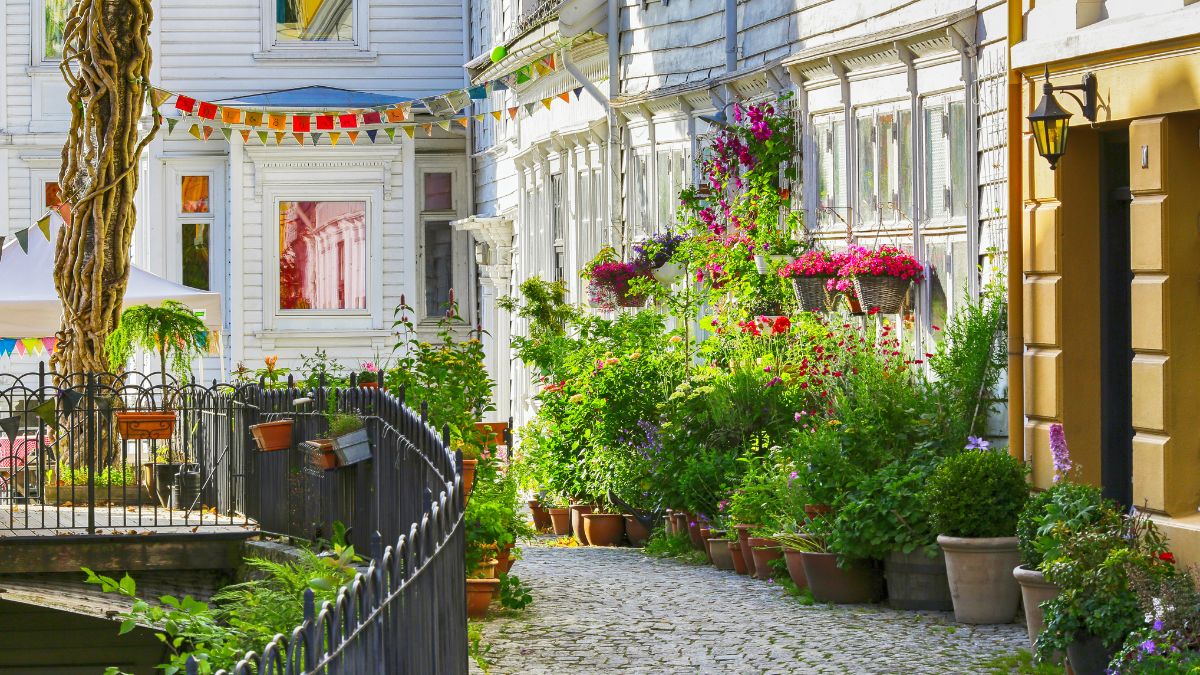  Bergen