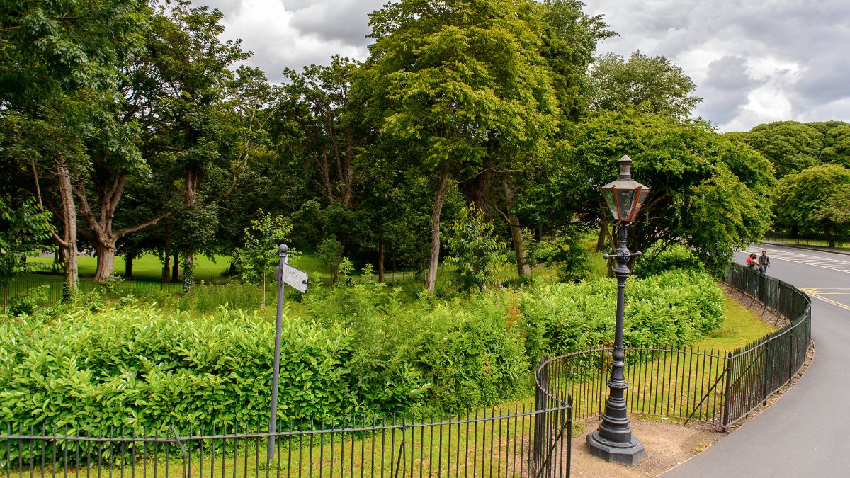 Phoenix Park