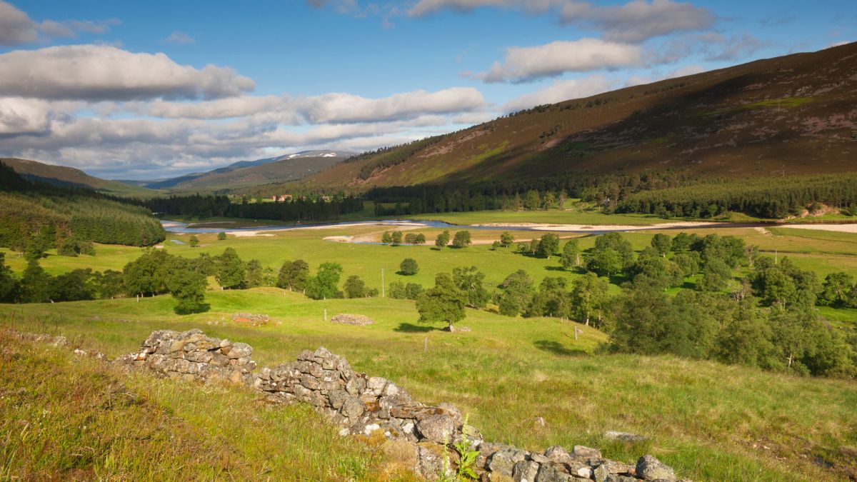 Cairngorm Nemzeti Park
