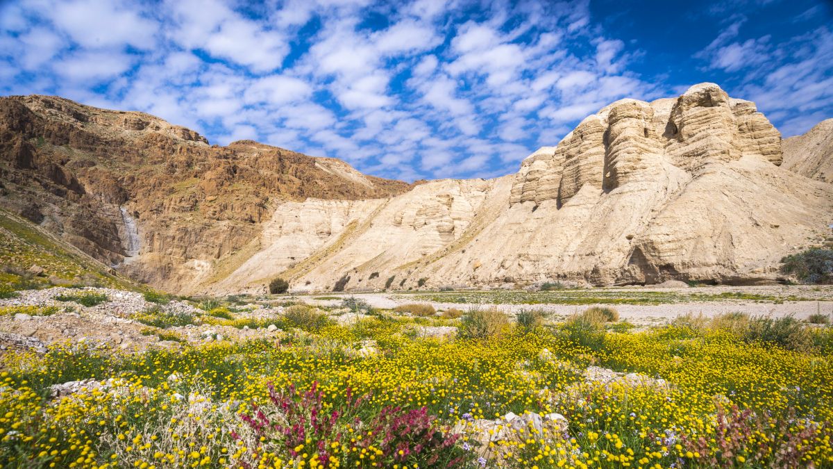 Qumran 