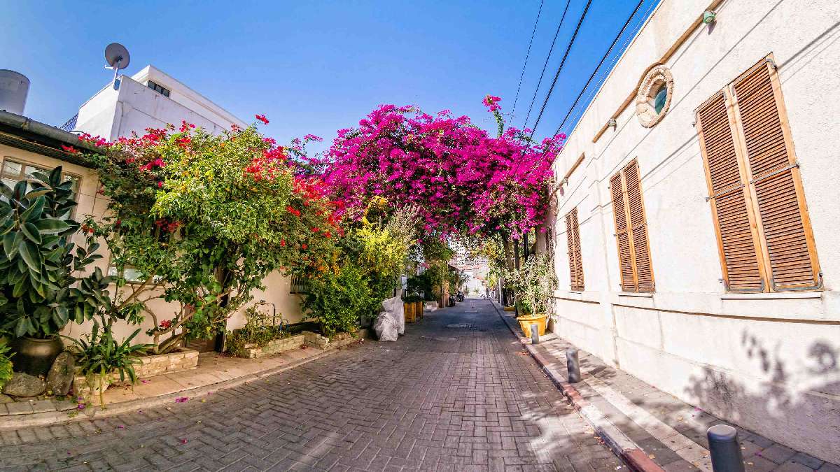 Tel Aviv - Neve Tzedek