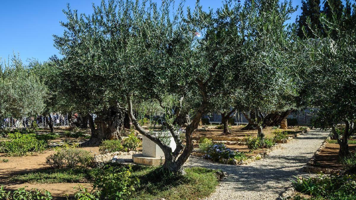 Gethsemane kert