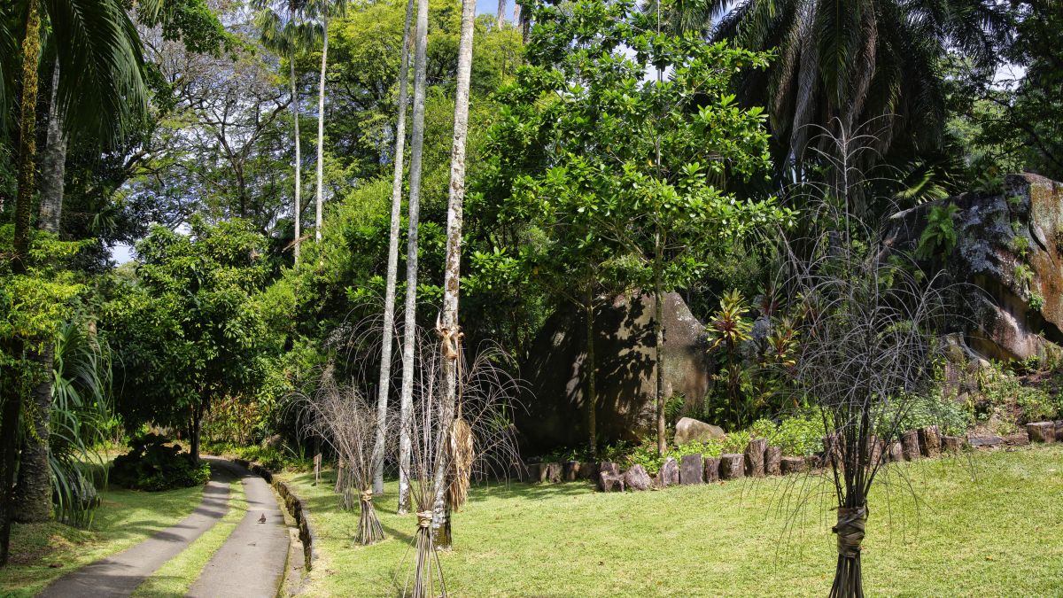 A Seychelles-szigetek ékkövei - OTP Travel Utazási Iroda