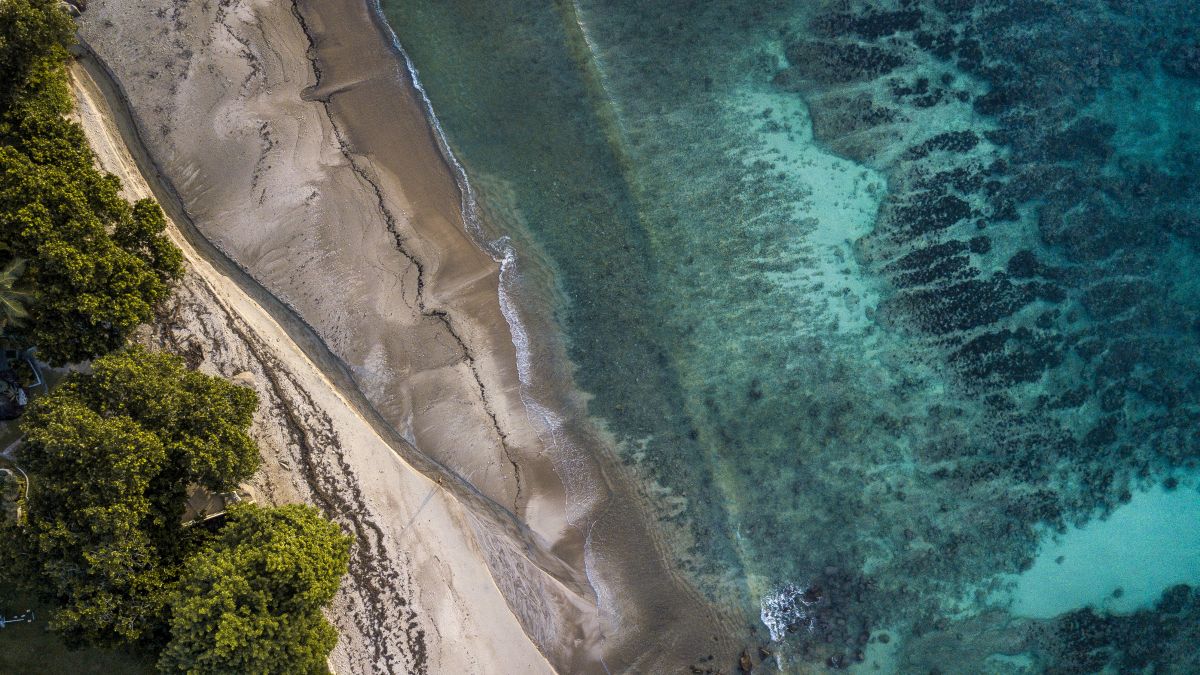 A Seychelles-szigetek ékkövei - OTP Travel Utazási Iroda