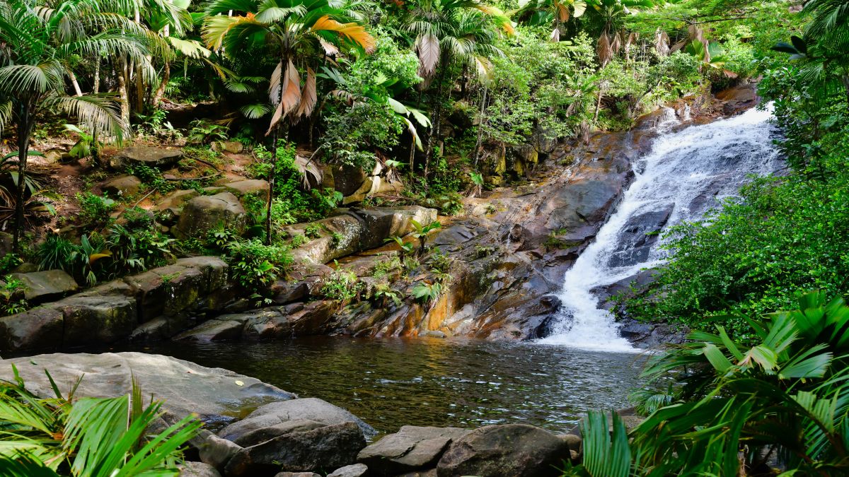 A Seychelles-szigetek ékkövei - OTP Travel Utazási Iroda