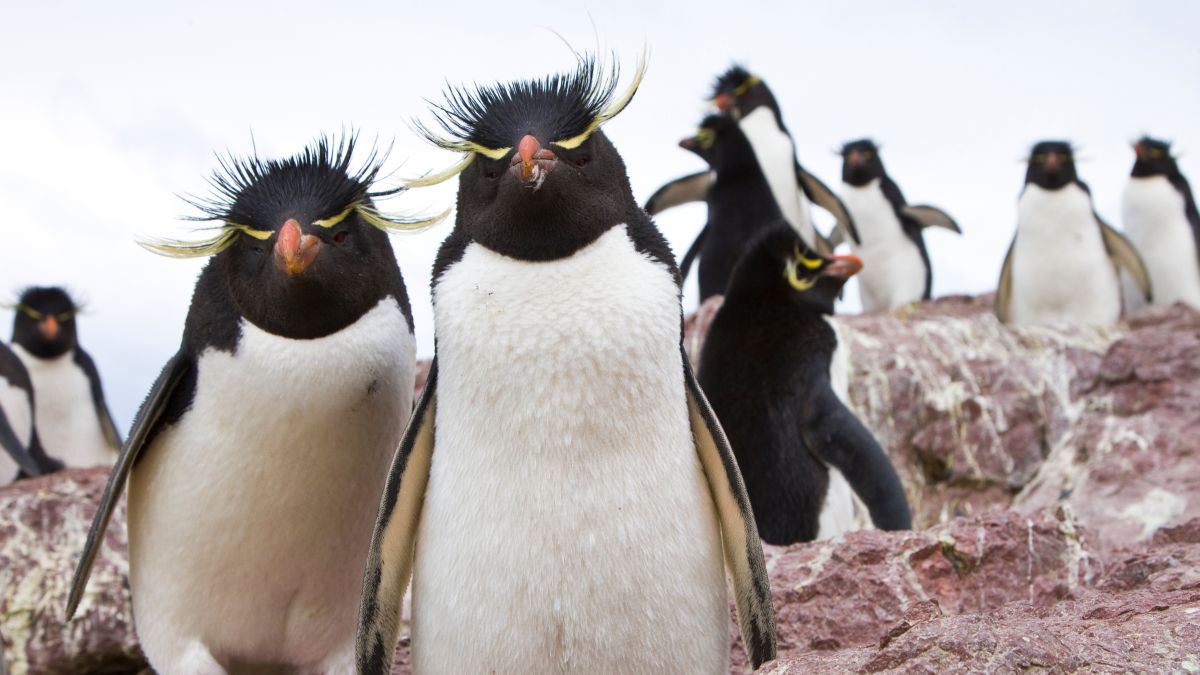 Argentína-Tűzföld - OTP Travel Utazási iroda