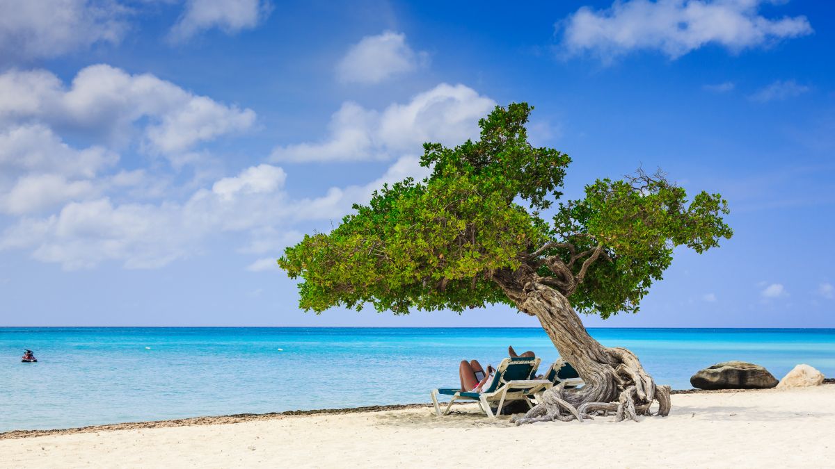 Aruba: várja Önt a boldog sziget! - OTP Travel Utazási Iroda
