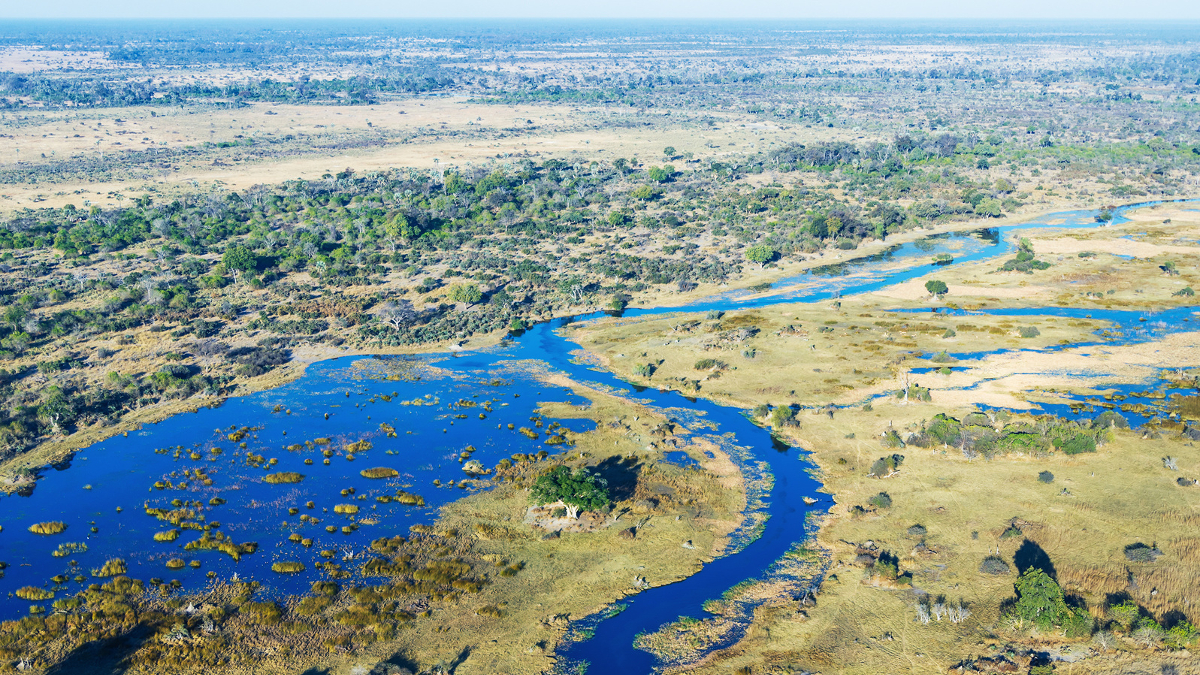 Afrika szafari Botswana utazás - OTP Travel Utazási iroda