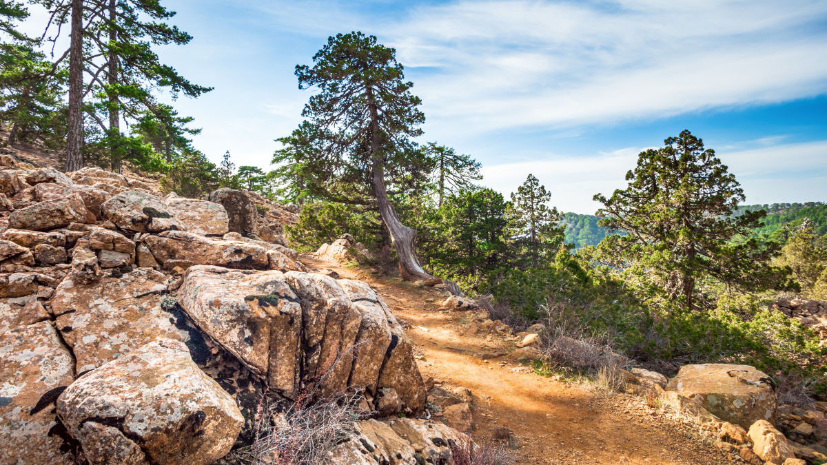 Ciprus hűsítő szeglete a Troodos-hegység - OTP Travel Utazási Iroda