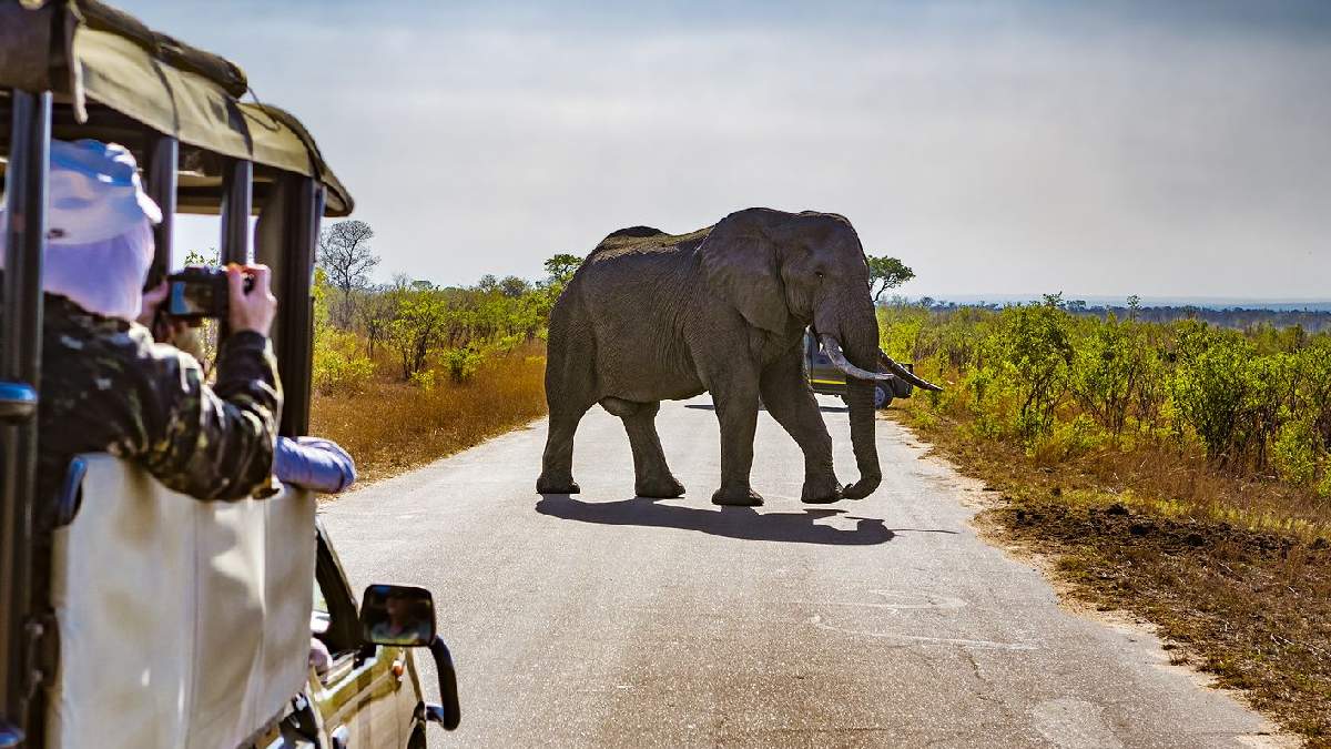 Afrika - szafari - utazási ajánlatok OTP Travel Utazási Iroda