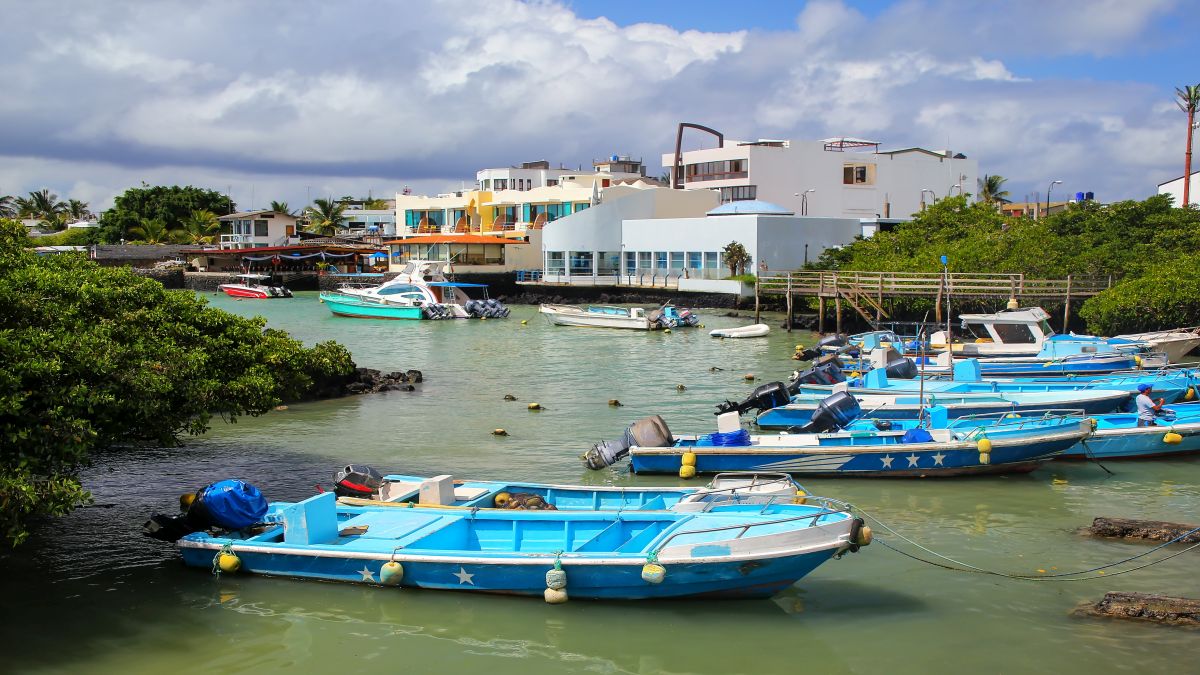 Galápagos világa: Santa Cruz-sziget - OTP Travel Utazási Iroda