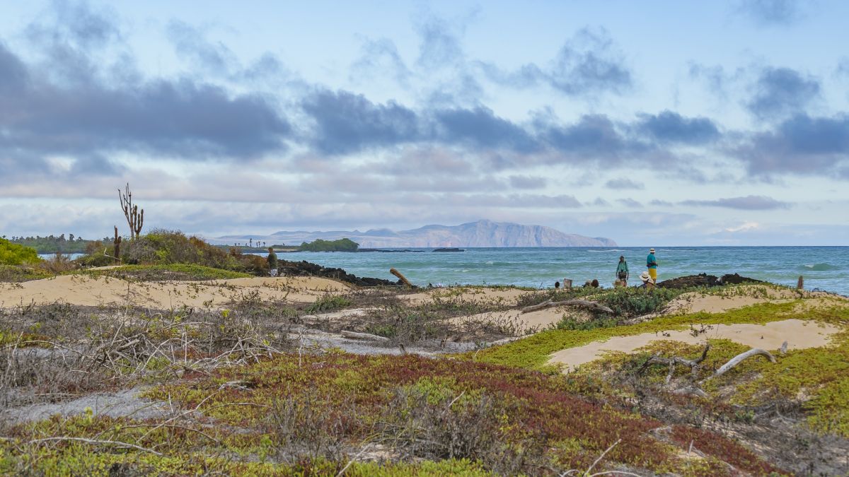 Galápagos világa: Santa Cruz-sziget - OTP Travel Utazási Iroda