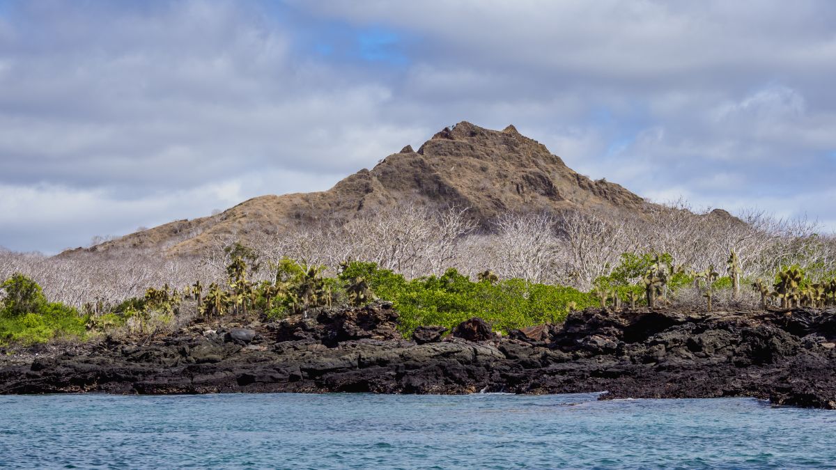 Galápagos világa: Santa Cruz-sziget - OTP Travel Utazási Iroda